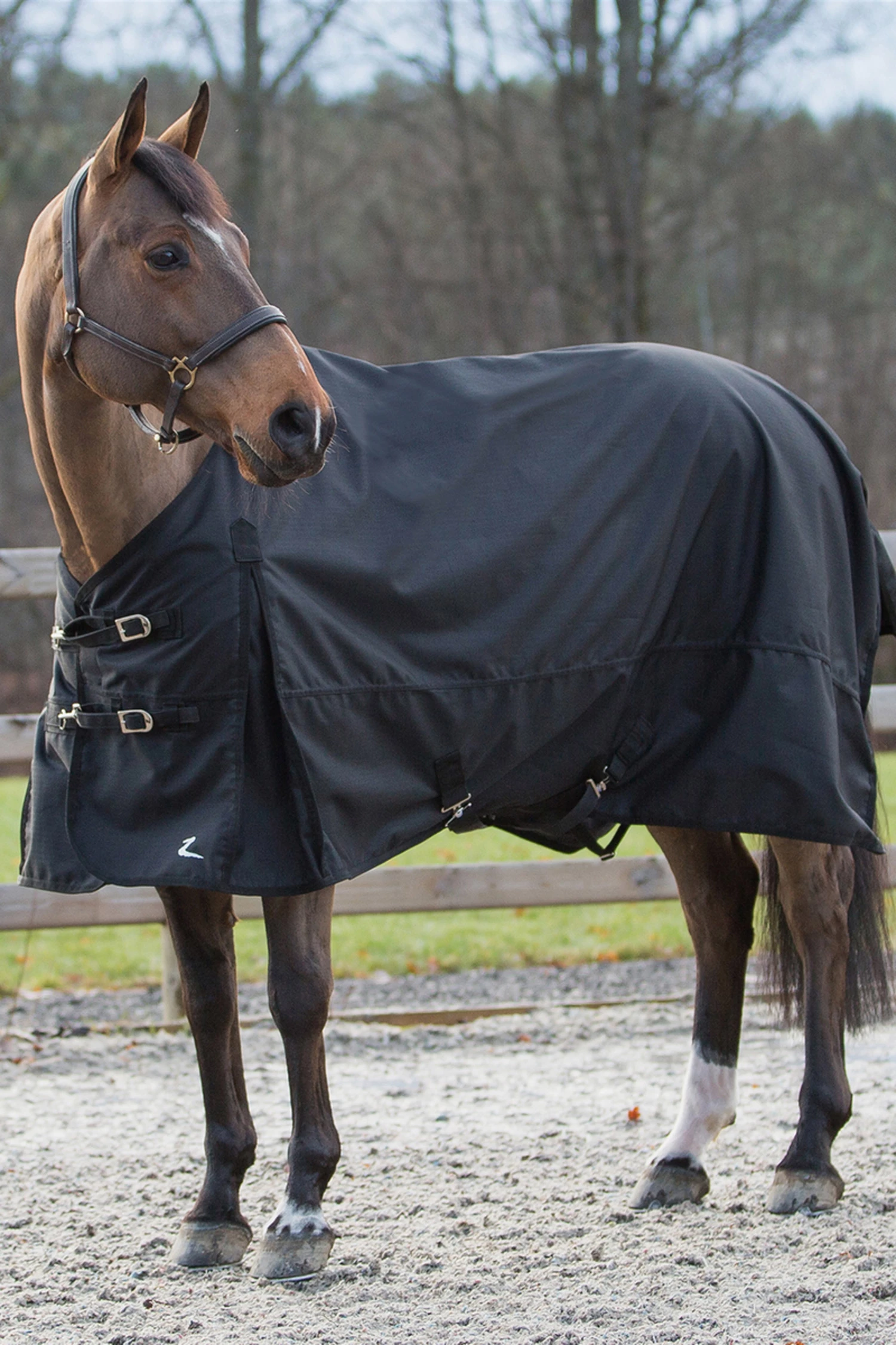 Horze Nevada Regendecke 11 Horze Nevada Regendecke – Bild 9
