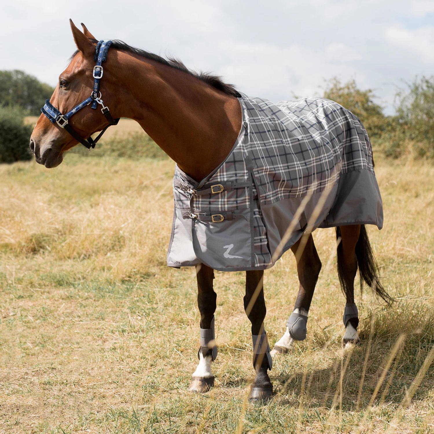 Horze Nevada Regendecke 14 Horze Nevada Regendecke – Bild 12