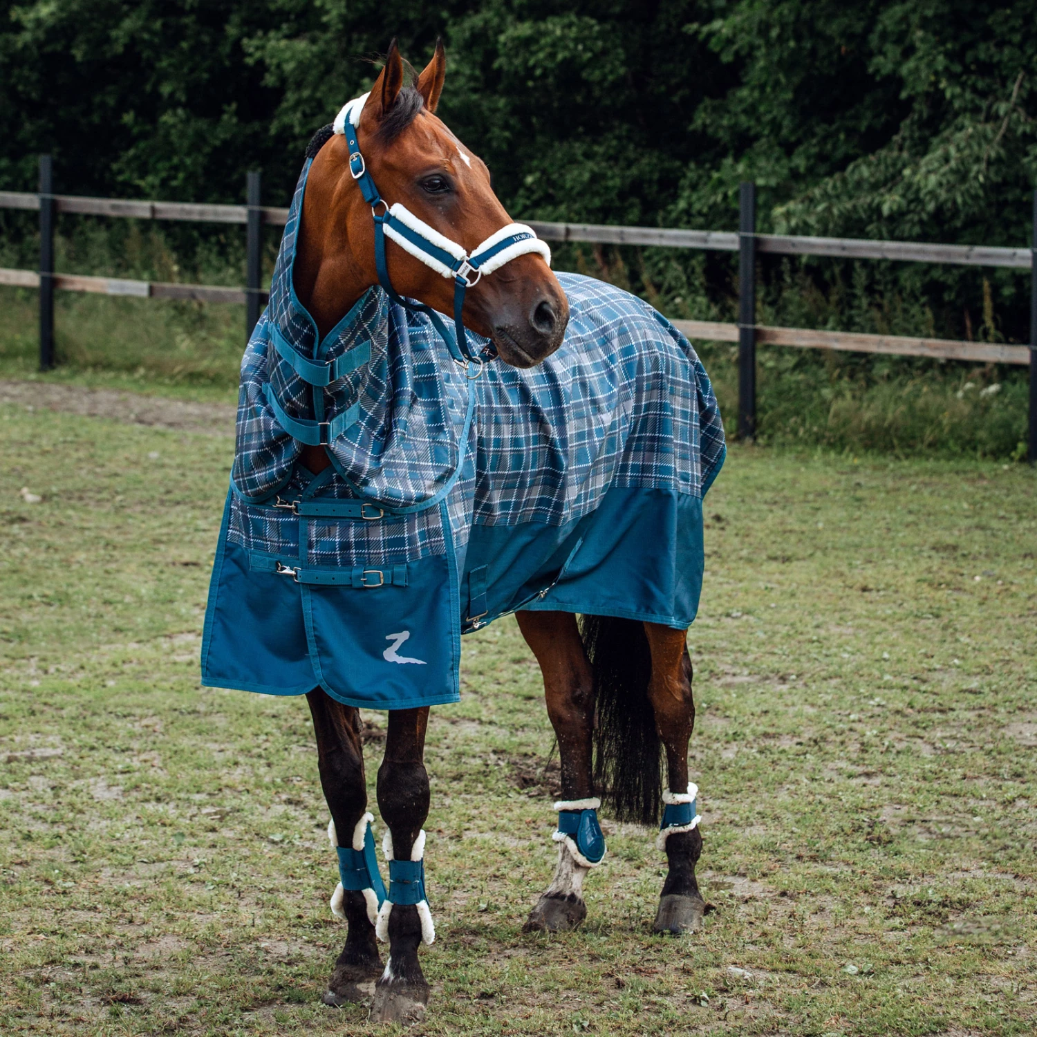 Horze Nevada Regendecke 15 Horze Nevada Regendecke – Bild 13