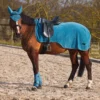 Horze Marquess Fleece-Ausreitdecke -Weatherbeeta Shop 24674 AGNB 1