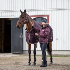 B Vertigo Corey Stalldecke, 250g -Weatherbeeta Shop 24793 WDRE 1