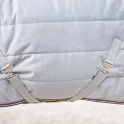 B Vertigo Tim Stalldecke 400g -Weatherbeeta Shop 24795 SEG BDRE 3