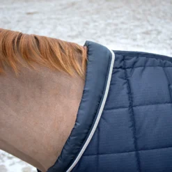 B Vertigo Tim Stalldecke 400g -Weatherbeeta Shop 24795 VDB 4