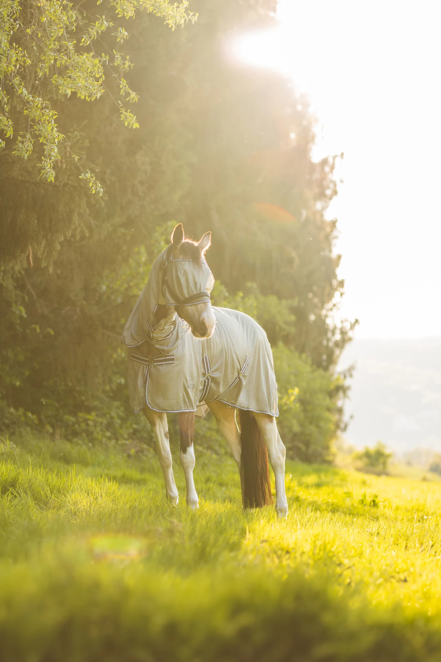 Horze La Pampa Fliegenschutz Set 14 Horze La Pampa Fliegenschutz Set – Bild 12