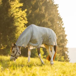 Horze La Pampa Fliegenschutz Set 34 Horze La Pampa Fliegenschutz Set -Weatherbeeta Shop 24817 g 13