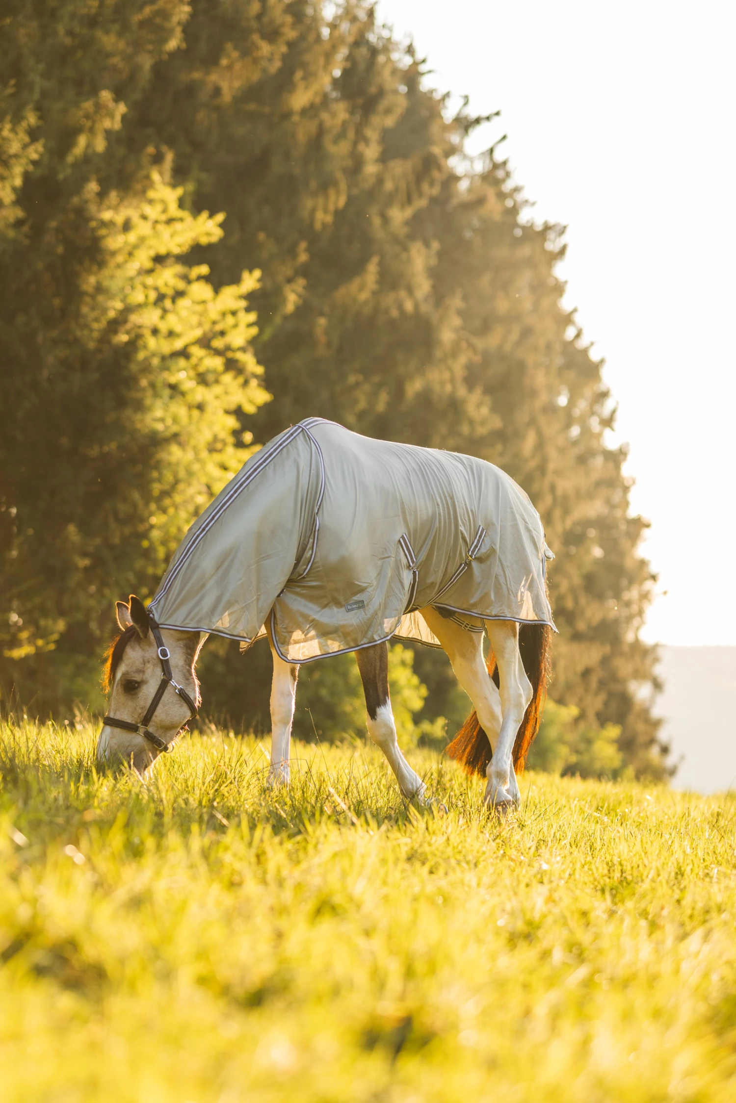 Horze La Pampa Fliegenschutz Set 15 Horze La Pampa Fliegenschutz Set – Bild 13