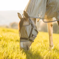 Horze La Pampa Fliegenschutz Set 35 Horze La Pampa Fliegenschutz Set -Weatherbeeta Shop 24817 g 14