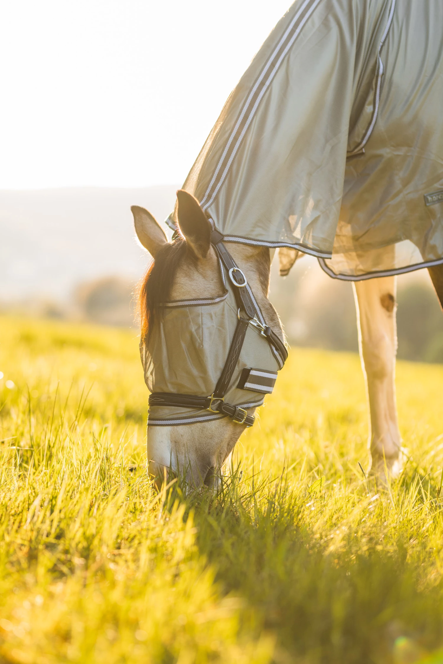 Horze La Pampa Fliegenschutz Set 16 Horze La Pampa Fliegenschutz Set – Bild 14