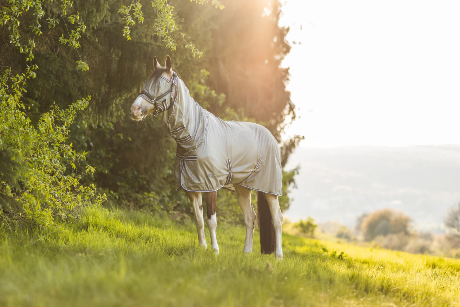 Horze La Pampa Fliegenschutz Set 19 Horze La Pampa Fliegenschutz Set – Bild 17