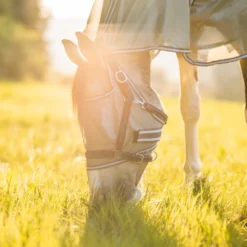 Horze La Pampa Fliegenschutz Set 40 Horze La Pampa Fliegenschutz Set -Weatherbeeta Shop 24817 g 19