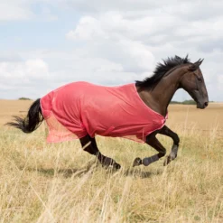 Horze Orleans Fliegendecke -Weatherbeeta Shop 24835 SCPI 1