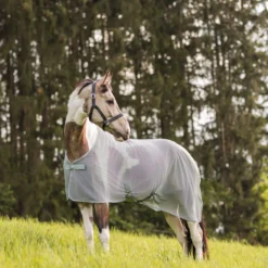 Horze Orleans Fliegendecke -Weatherbeeta Shop 24835 hrg 07