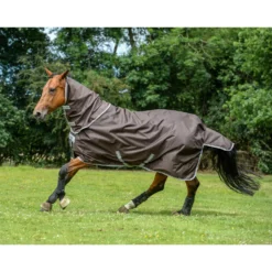 Bucas Smartex Combi Neck, 0g -Weatherbeeta Shop 24860 BR 1