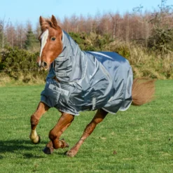 Bucas Smartex Combi Neck, 0g -Weatherbeeta Shop 24860 IG 1