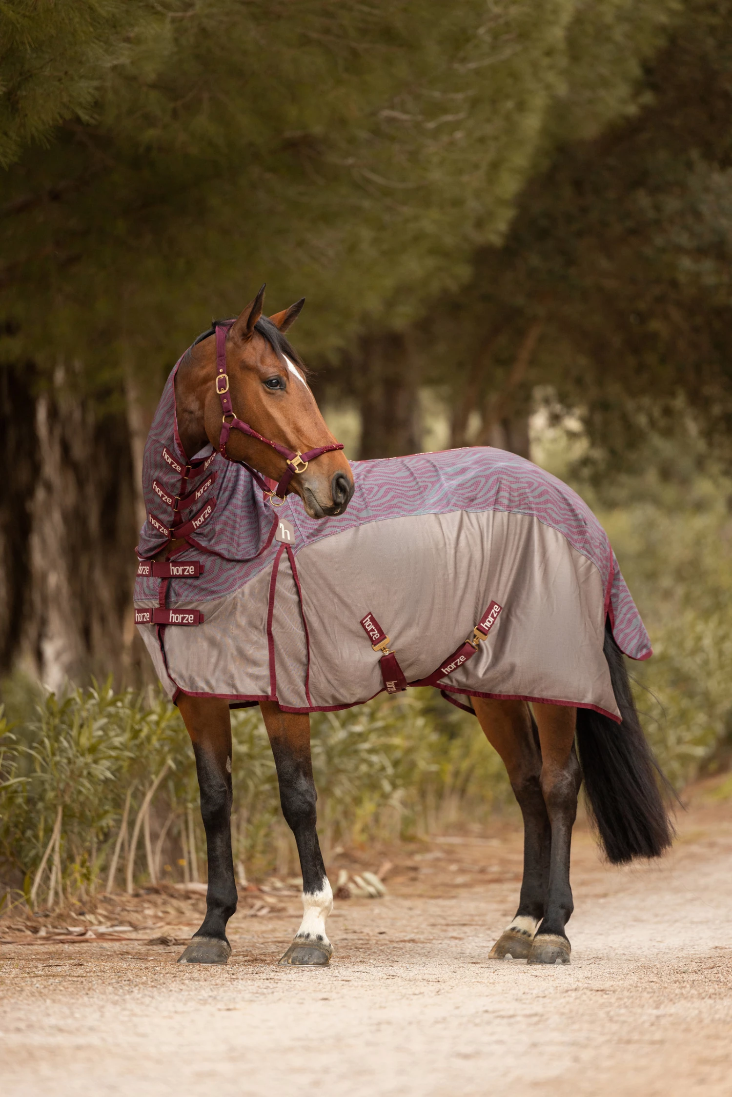 Horze Kenya Fliegendecke Mit Festem Halsteil 10 Horze Kenya Fliegendecke Mit Festem Halsteil – Bild 8