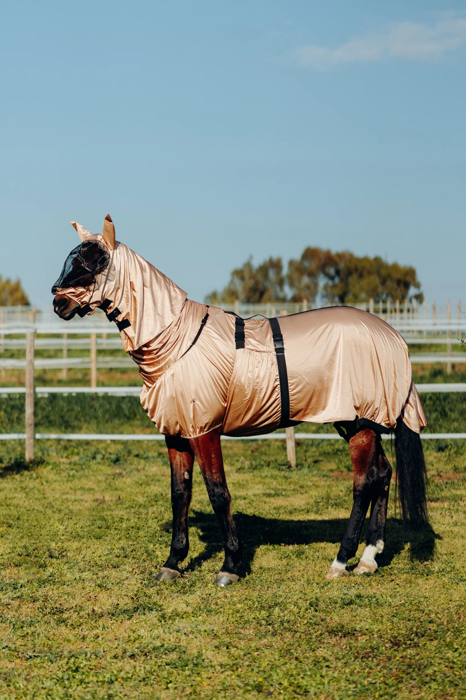 Horze Cover Ekzemermaske 5 Horze Cover Ekzemermaske – Bild 3