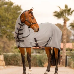 Horze Paso Fino Fliegendecke Mit Abnehmbarem Halsteil Und UV Schutz 27 Horze Paso Fino Fliegendecke Mit Abnehmbarem Halsteil Und UV Schutz -Weatherbeeta Shop 24895 061 07