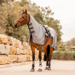 Horze Paso Fino Fliegenausreitdecke Mit Abnehmbarem Halsteil Und UV Schutz -Weatherbeeta Shop 24896 061 08