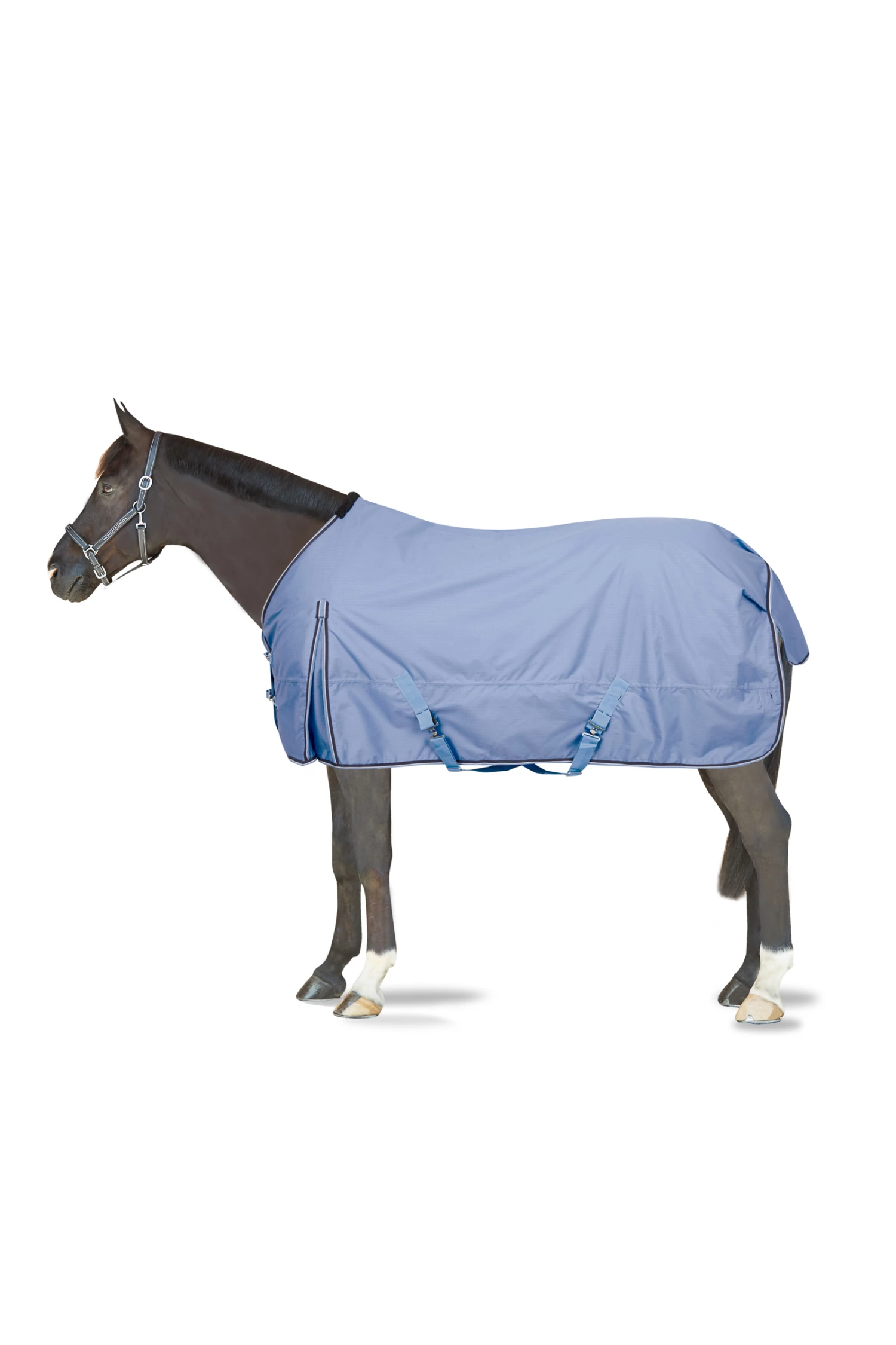 Horze Regendecke, 100g 9 Horze Regendecke, 100g – Bild 7