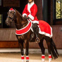 Horze Weihnachtliche Ausreitdecke 7 Horze Weihnachtliche Ausreitdecke -Weatherbeeta Shop 24995 re 03
