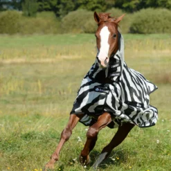 Bucas Buzz Off Zebra Fliegendecke Mit Halsteil -Weatherbeeta Shop 300426 BL WH 4