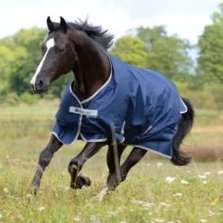 Bucas Freedom Turnout Ponydecke, 300g -Weatherbeeta Shop 300451 DB 2