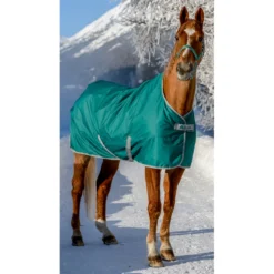 Bucas Freedom Turnout Ponydecke, 300g -Weatherbeeta Shop 300451 JGR 1