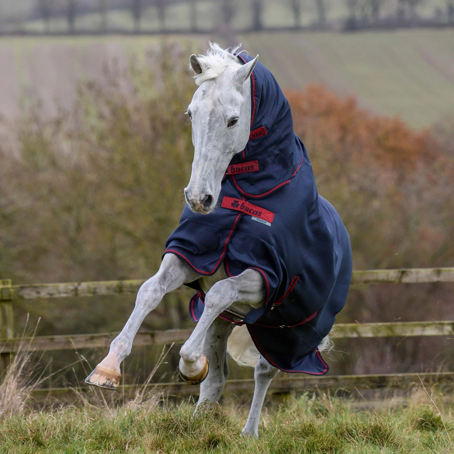 Bucas Freedom Turnout Full Neck Regendecke Mit Festem Halsteil, 0g 10 Bucas Freedom Turnout Full Neck Regendecke Mit Festem Halsteil, 0g – Bild 8