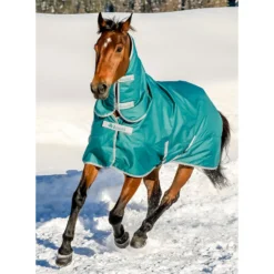Bucas Freedom Turnout Full Neck Regendecke Mit Festem Halsteil, 0g 21 Bucas Freedom Turnout Full Neck Regendecke Mit Festem Halsteil, 0g -Weatherbeeta Shop 300453 JGR 1