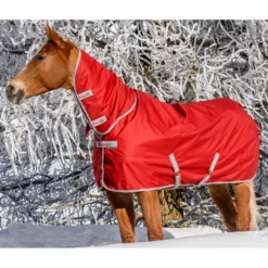 Bucas Freedom Turnout Full Neck Regendecke Mit Festem Halsteil, 0g 20 Bucas Freedom Turnout Full Neck Regendecke Mit Festem Halsteil, 0g -Weatherbeeta Shop 300453 SRE 1