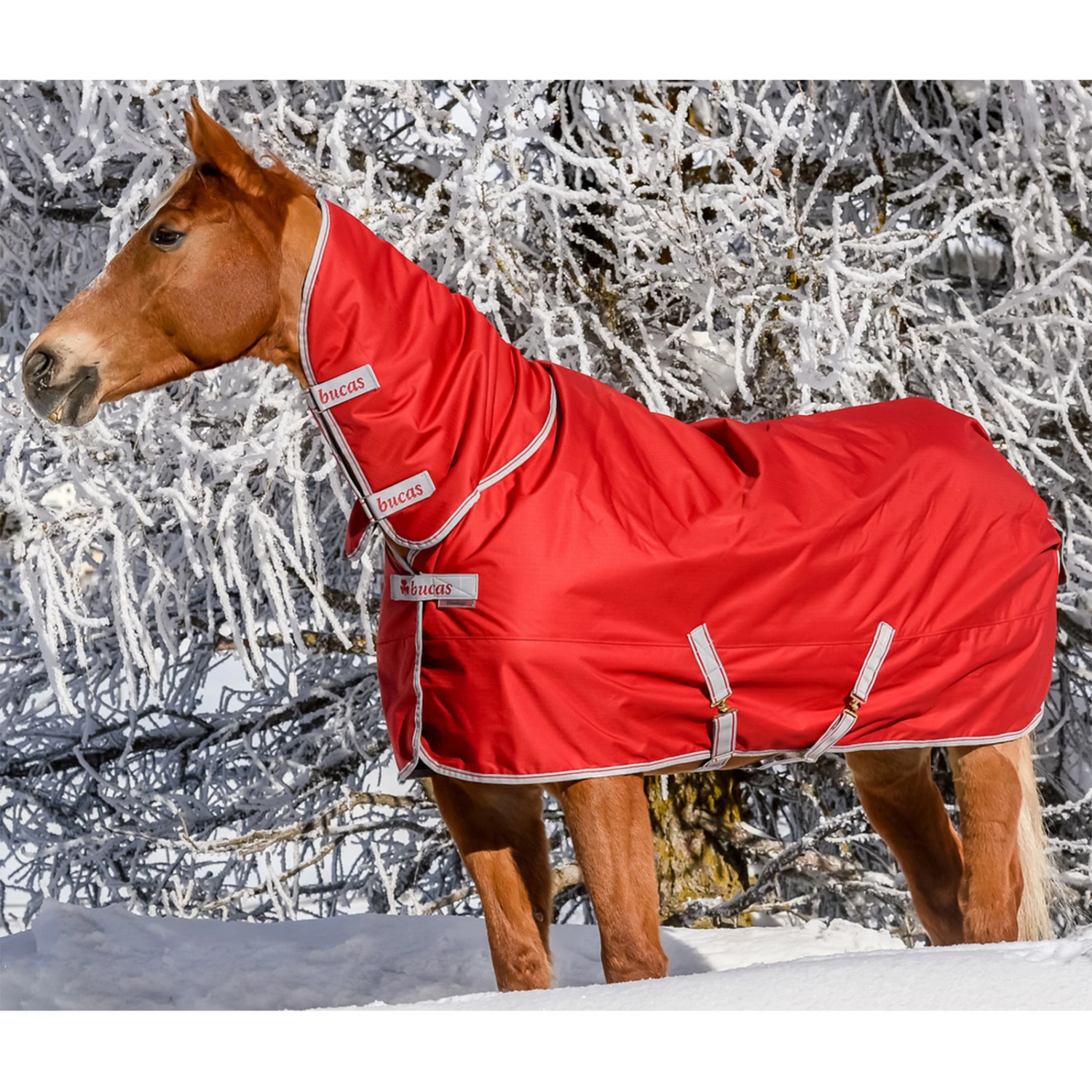 Bucas Freedom Turnout Full Neck Regendecke Mit Festem Halsteil, 0g 11 Bucas Freedom Turnout Full Neck Regendecke Mit Festem Halsteil, 0g – Bild 9