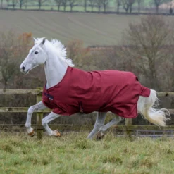 Bucas Freedom Turnout Light Regendecke, 0g -Weatherbeeta Shop 300455 CRE 1