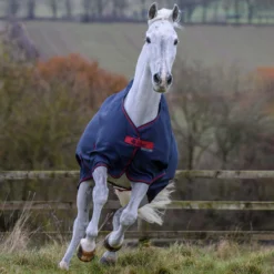 Bucas Freedom Turnout Light Regendecke, 0g -Weatherbeeta Shop 300455 GDG 3