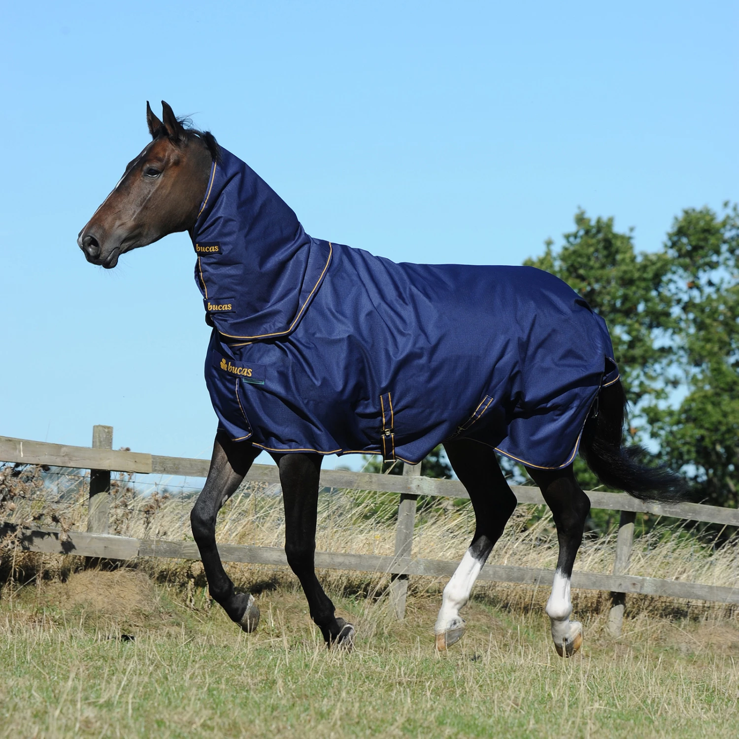 Bucas Irish Turnout Combi Halsteil 300g 4 Bucas Irish Turnout Combi Halsteil 300g – Bild 2