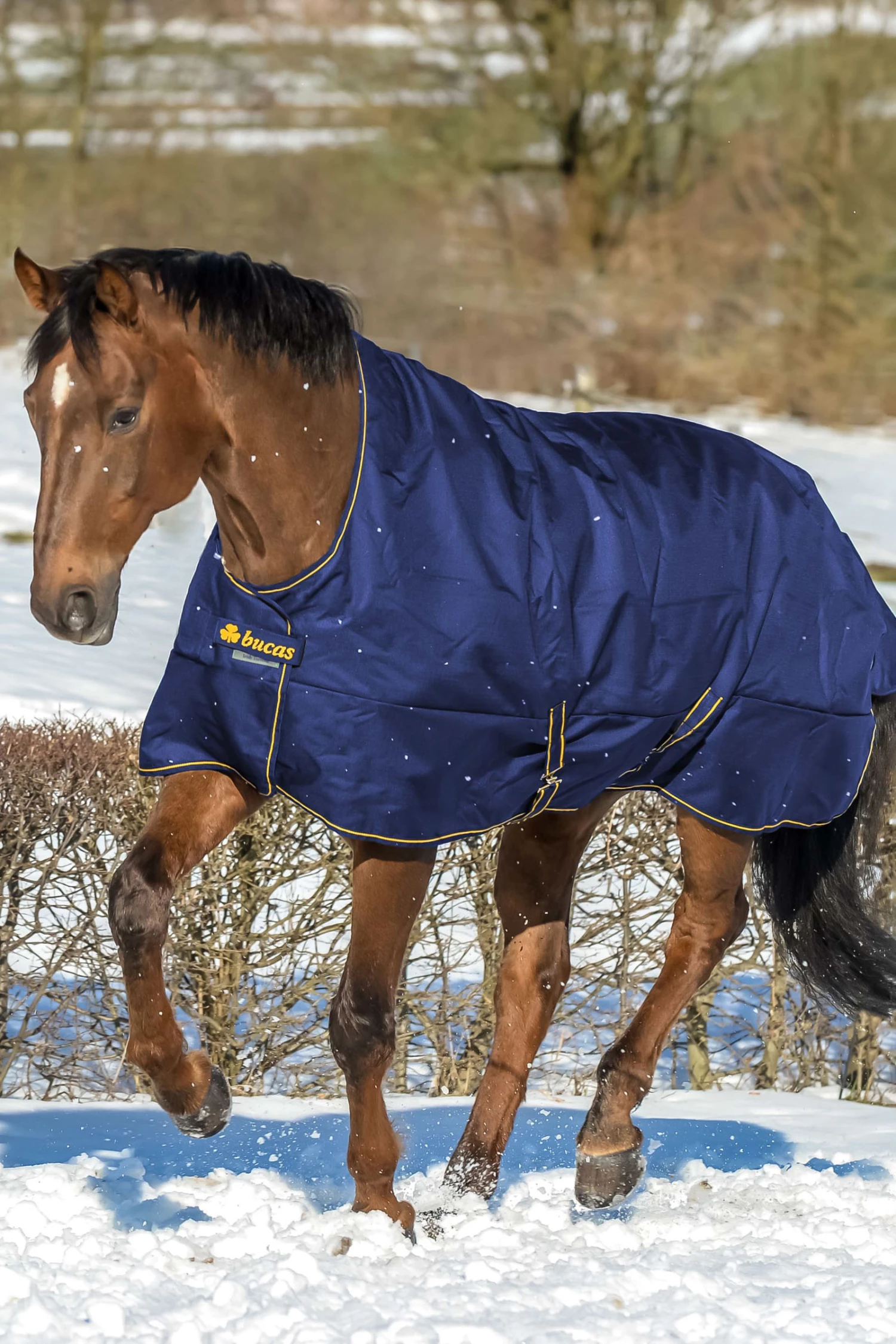 Bucas Irish Turnout Regendecke Mit Hohem Hals, 50g 4 Bucas Irish Turnout Regendecke Mit Hohem Hals, 50g – Bild 2