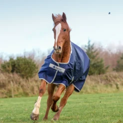 Bucas Atlantic Turnout Big Neck 200g -Weatherbeeta Shop 306239 DB 4