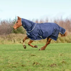 Bucas Atlantic Turnout Big Neck 200g -Weatherbeeta Shop 306239 DB 5