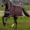 Horseware Amigo Hero Ripstop Regendecke Mit Fleecefutter, 50g 1 Horseware Amigo Hero Ripstop Regendecke Mit Fleecefutter, 50g -Weatherbeeta Shop 306260 FPU FPU 1
