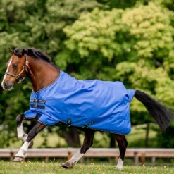 Horseware Amigo Hero Ripstop Regendecke, 0g -Weatherbeeta Shop 306261 B DB G 01