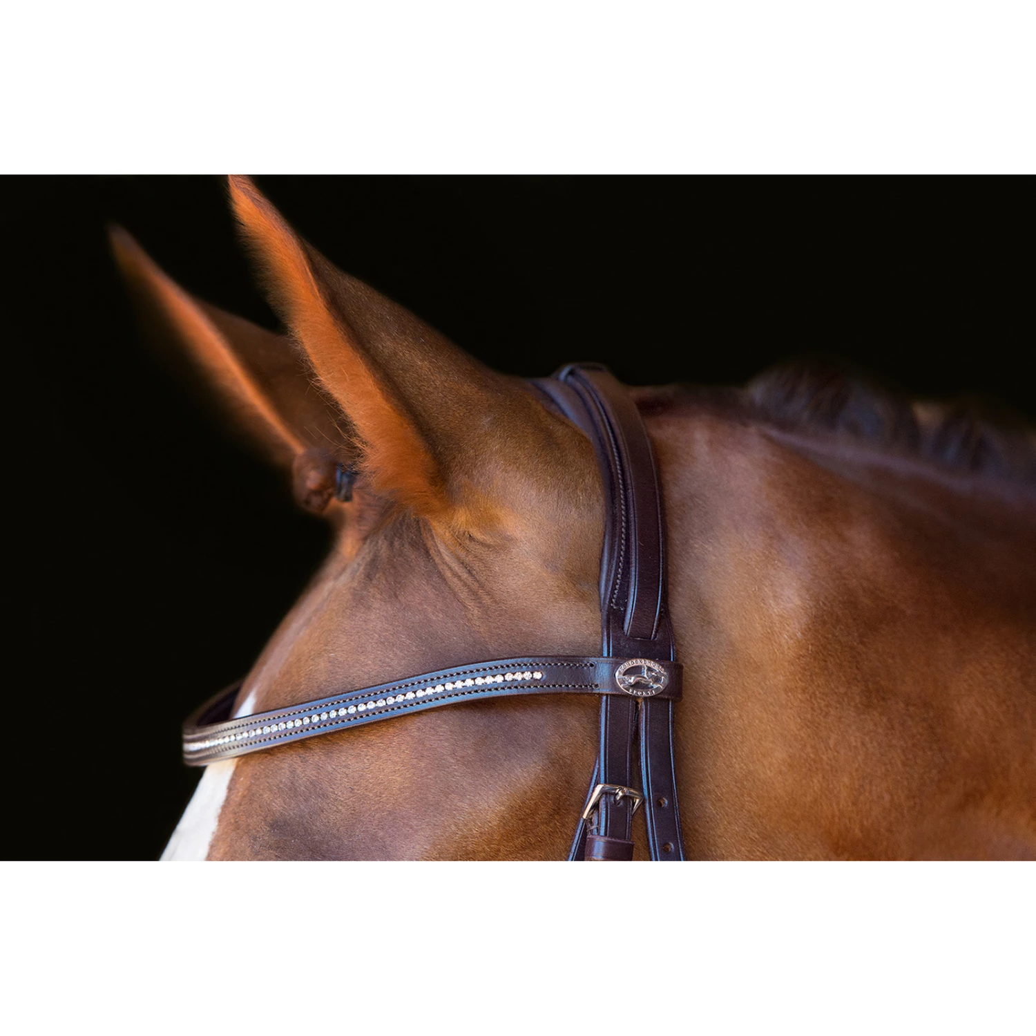 Schockemöhle Copenhagen Trense 5 Schockemöhle Copenhagen Trense – Bild 3