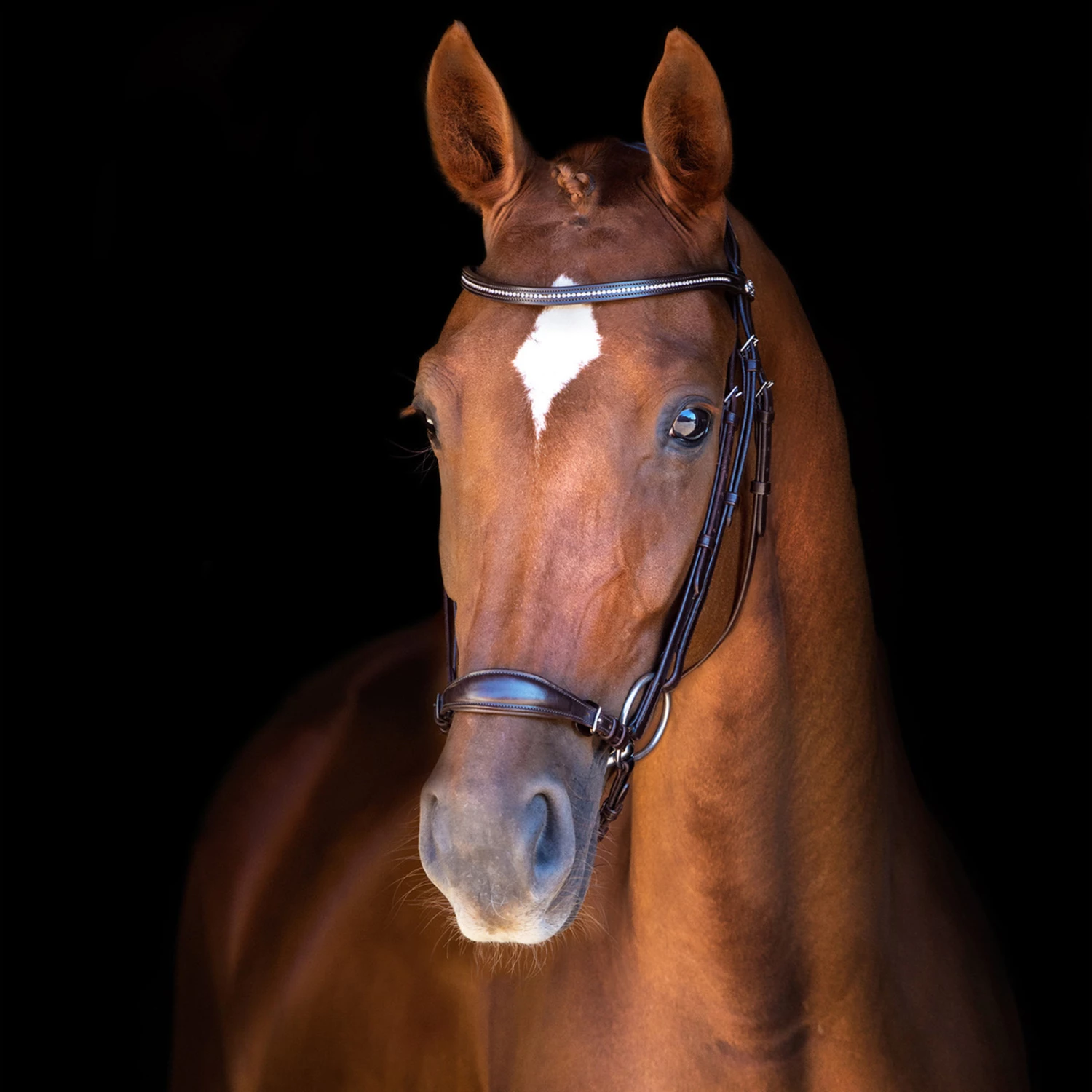 Schockemöhle Copenhagen Trense 6 Schockemöhle Copenhagen Trense – Bild 4