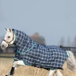 Horseware Rhino Plus Pony Winterdecke Mit Abnehmbarem Halsteil, 200g -Weatherbeeta Shop 307490 DB TB 2