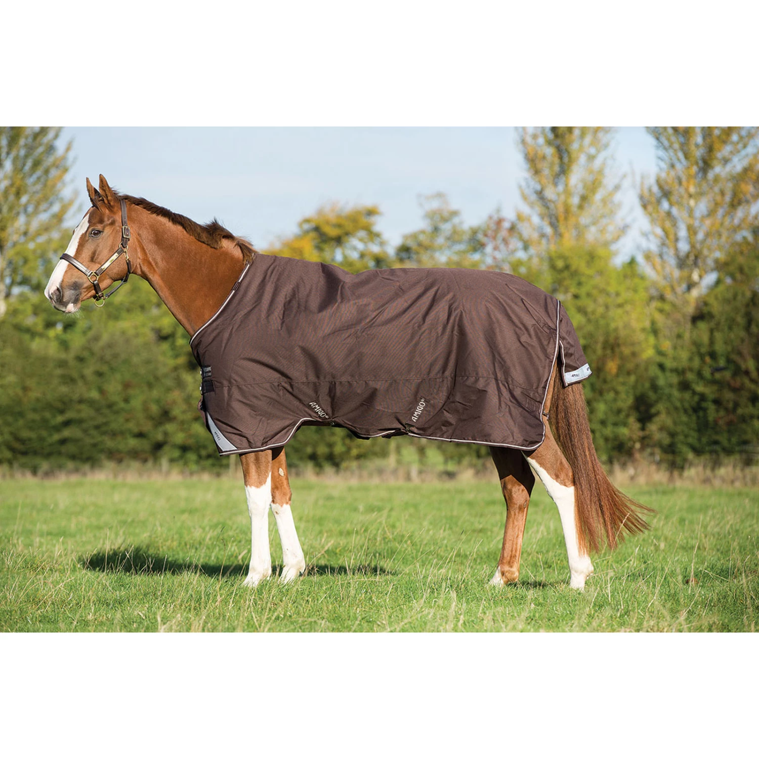 Horseware Amigo Bravo 12 Winterdecke, 400g 3 Horseware Amigo Bravo 12 Winterdecke, 400g