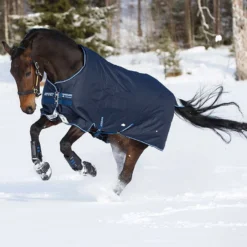 Horseware Amigo Bravo 12 Winterdecke, 400g 5 Horseware Amigo Bravo 12 Winterdecke, 400g -Weatherbeeta Shop 307515 DB DB 2