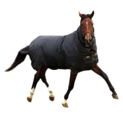 Horseware Trot Plus Winterdecke Mit Abnehmbarem Halsteil, 350g