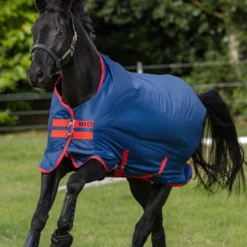 Horseware Mio Weidedecke, 0g -Weatherbeeta Shop 307552 DB DB RE 1