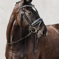 Schockemöhle Malibu Dressur-Trense Mit Kristalldetail -Weatherbeeta Shop 313775 BL PTG 2