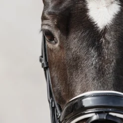 Schockemöhle Malibu Dressur-Trense Mit Kristalldetail -Weatherbeeta Shop 313775 BL PTG 3