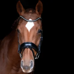 Schockemöhle Stanford Anatomische Trense -Weatherbeeta Shop 313787 BL SI 3