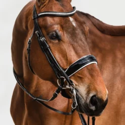 Schockmöhle Venice Anatomische Kandare Mit Kristallen -Weatherbeeta Shop 313790 BL PTG 2